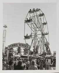 Ferris wheel at the Sonoma County Fair