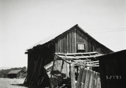 Hay barn at 196 Cinnabar Avenue, Petaluma, California, May 27, 1997