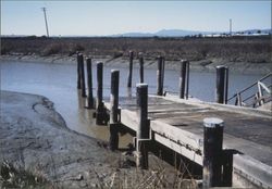 Hudeman Slough boat launch, 28020 Skaggs Island Road, Sonoma, California, January 1970