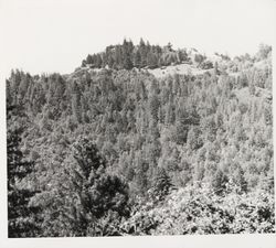 Guerneville across the "Big Bottom" and Lone Mountain towards Pool's Ridge