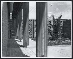 Library courtyard, Santa Rosa