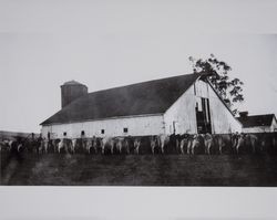 Farm equipment and barn on the Volkerts ranch and dairy, Two Rock, California, 1940s