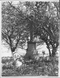 Views of Canfield Cemetery, Bloomfield, California, 1973