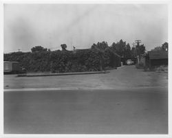 Views of the Petaluma Hatchery grounds