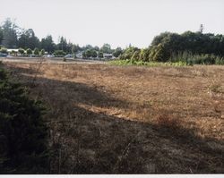 Field at 961 Gravenstein Highway South, Sebastopol, Calif., Sept. 27, 2009