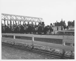 Horse racing at the Fair Grounds