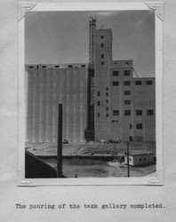 Poultry Producers of Central California feed mill under construction, Petaluma, California, about 1938