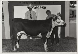 LaFranchi's Know Her at the Sonoma County Fair, Santa Rosa, California, July 1986