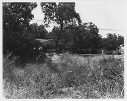 Partial view of unidentified Sonoma County homes, about 1960