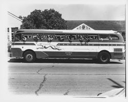 Boy Scouts embarking on a bus, Petaluma, California, 1940