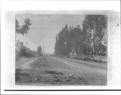 Early view of a residential street in Petaluma, California, about 1880