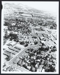 Aerial view from E and College toward the fairgrounds, Santa Rosa, California, 1965