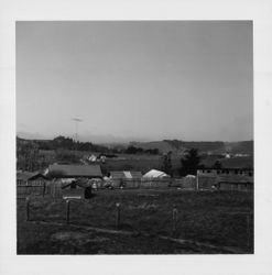 Salmon Creek Valley and houses on Salmon Creek Road, Bodega, about 1963