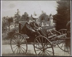 Elmond J. Haskins and unidentified woman in a horse-drawn buggy, 430 Magnolia Avenue, Petaluma, California, between 1890 and 1900