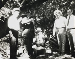 Petaluma Cooperative Creamery board members and manager at an outdoor gathering, about 1930