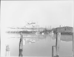 Golden Eagle Milling Co. viewed from the Petaluma River, Petaluma, California, 1959