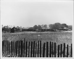 California Charcoal Company,Windsor, California, September 8, 1952