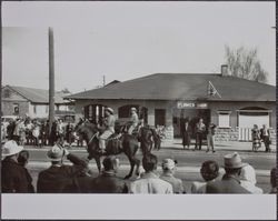 Redwood Rangers participate in the Armistice Day Parade, Sebastopol, California, November 1949