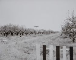 Bellevue District of Santa Rosa, California, 1952