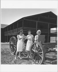 Members of the Petaluma Art Association sketching at the Old Adobe, Petaluma, California, 1963