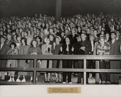 Spectators at Petaluma Leghorn game against Windbreakers