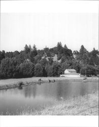 Farm on Forestville Road near Camp Meeker, Sonoma County, California, July 1949