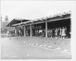 Planting shrubs at McNear Elementary School, Petaluma, California, 1955