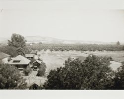 Farm near the town of Fulton, California, photographed in the 1930s