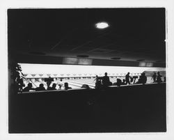Bowling lanes at the Holiday Bowl, Santa Rosa, California, 1959