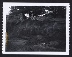 Flood damage to south side of Matanzas Creek at 2433 Melbrook Way