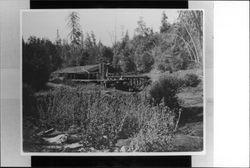 Meeker Sawmill on Dixon Creek