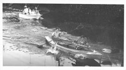 Kayak races on the Petaluma River, Petaluma, California, 1964