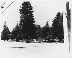 Plaza from City Hall