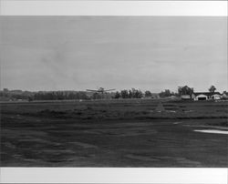 Planes on the ground and in the air at Sky Ranch, Petaluma, California, 1978