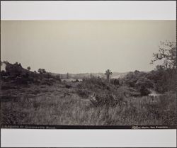 Laguna or Guerneville Road