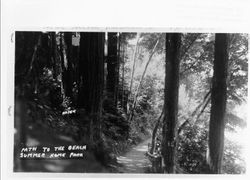 Path to the beach at Summer Home Park on the Russian River, Sonoma County, California, 1952