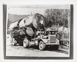 Truck hauling a redwood log, Guerneville?, California, 1964