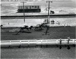 Photo finish on race day, Santa Rosa, California, 1953