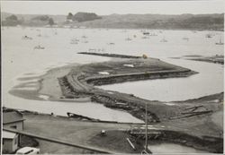 Bodega Bay Marina, Bodega Bay, California, about 1957