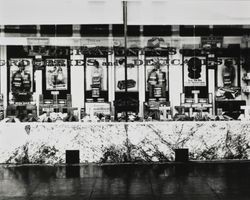 Window display at C. Gervasoni & Sons Groceries and Delicatessen, Petaluma, California, about 1920