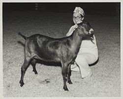 Jennifer Bice showing her goat at the Sonoma County Fair, Santa Rosa, California, 1968