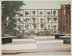 Geometric display at the Hall of Flowers at the Sonoma County Fair, Santa Rosa, California, 1964