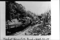 Central Pacific Railroad freight train, Mendocino County