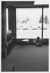 Children reading by the windows in the library