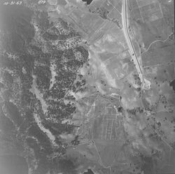 Aerial views of Hills and vineyards northwest of the highway in Asti, California, Oct. 31, 1963