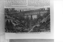 Bridge across Brown gulch on the line of the North Pacific Railroad, Occidental, California, 1878