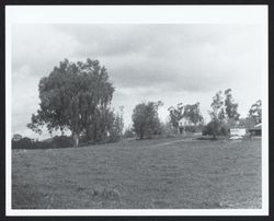 Bordessa Ranch located at 5565 Lakeville Highway, Petaluma, Calif, March 1967