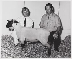 Kenny Wagner and his sheep at the Sonoma County Fair, Santa Rosa, California