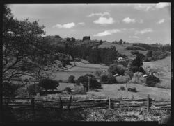 Unidentified view of Sonoma County from atop hills, looking into a valley