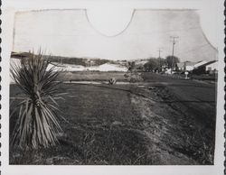 Russell Avenue, Santa Rosa, California, Nov. 5, 1962